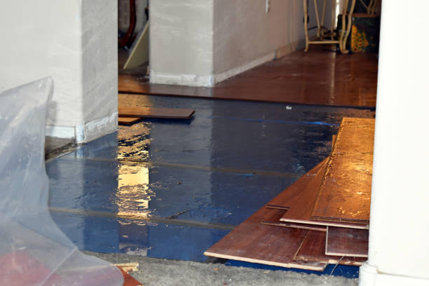 Professional Sewage Cleanup technician working in Lane, KS